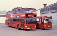 LVG37