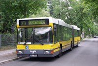 A11