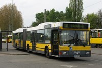 A11