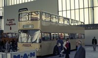 SD73