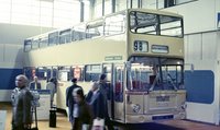 SD74