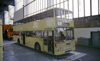 SD