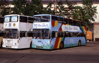SD