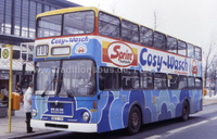 SD