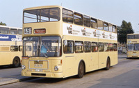 SD