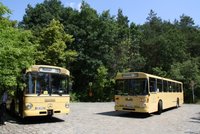 Wagen 1986