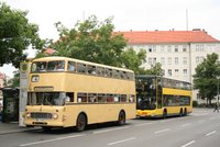 Foto: Tobias Domann