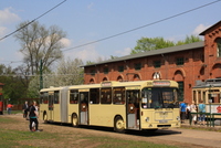 MAN Gelenkbus von Traditionsbus Osnabrück
